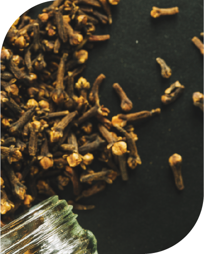 Cloves (Whole)-01