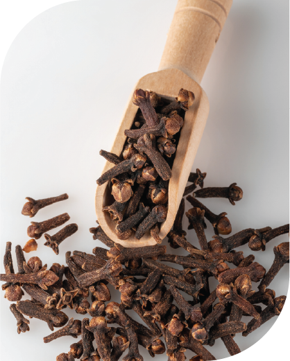 Cloves (Whole)-02