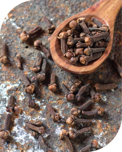Cloves (Whole)-03