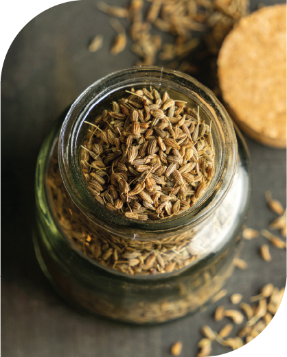 Cumin Seeds-01
