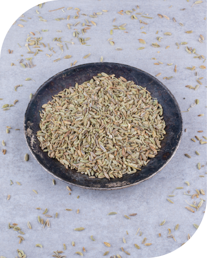 Cumin Seeds-03