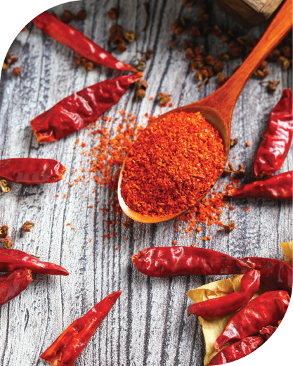Dried Red Chilli Whole Powder-03