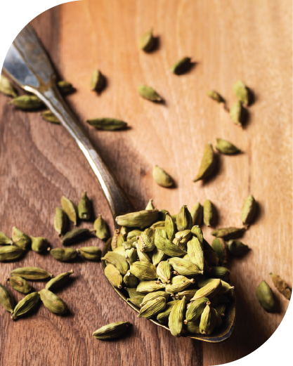 Green Cardamom-03