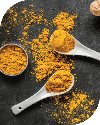 Turmeric Bulb Finger Powder-01