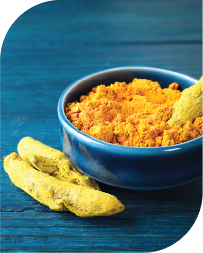 Turmeric Bulb Finger Powder-02