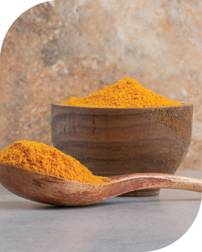 Turmeric Bulb Finger Powder-03